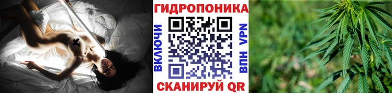 продажа наркотиков  Чапаевск  Каннабис LSD WEED 